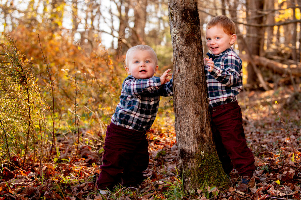 two little boys lean against a tree during a family photo shoot in the catskills of ny