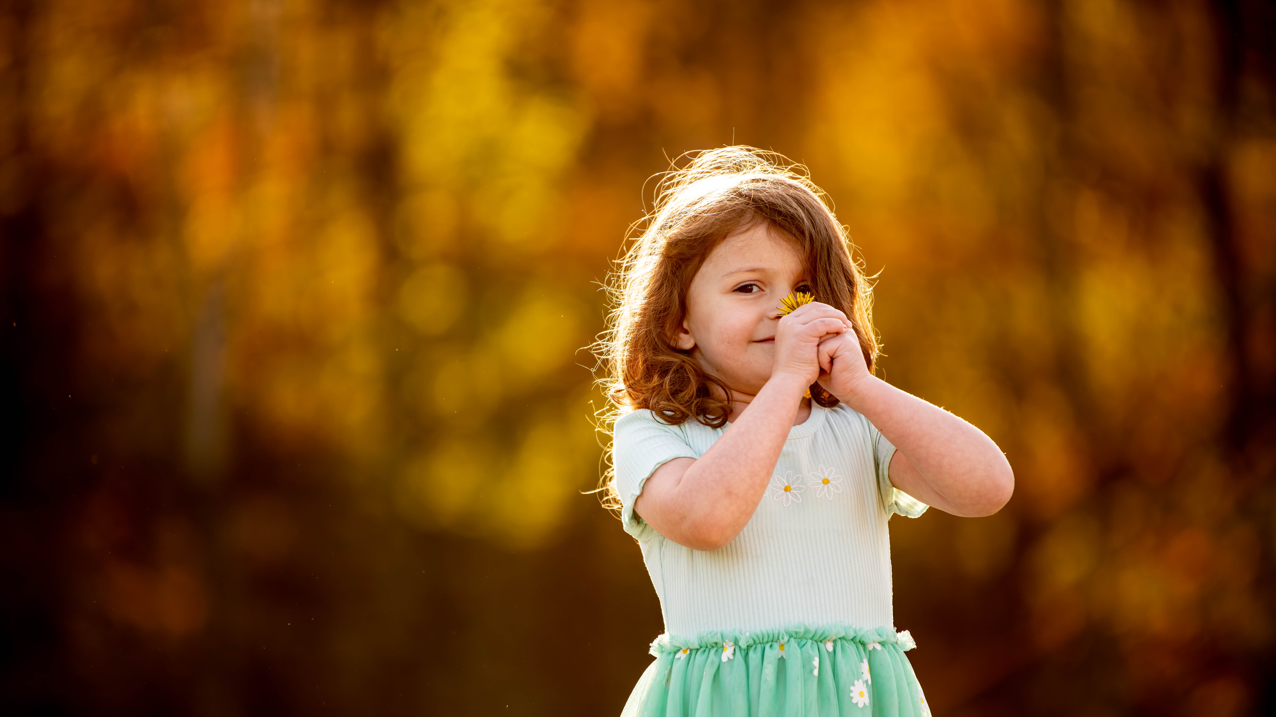 A little girl smells a flower during a fall mini session in the Sullivan County Catskills