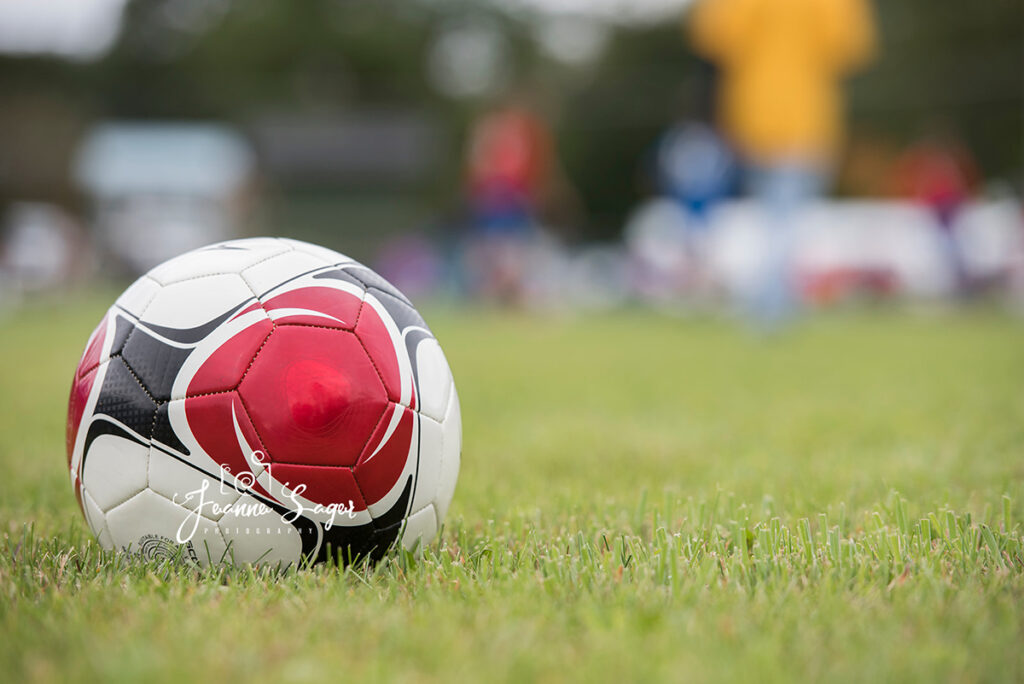 a soccer ball sits in the grass